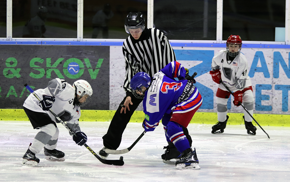 EHA and IIHF Integration