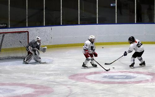 National Try-Out Denmark - SE Arena, Vojens