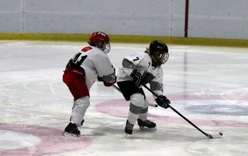 National Try-Out Denmark - SE Arena, Vojens