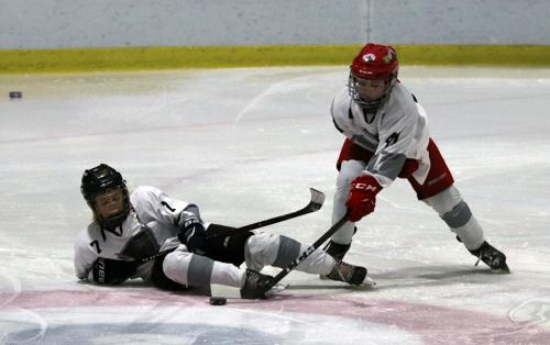 National Try-Out Denmark - SE Arena, Vojens