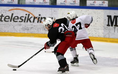 National Try-Out Denmark - SE Arena, Vojens
