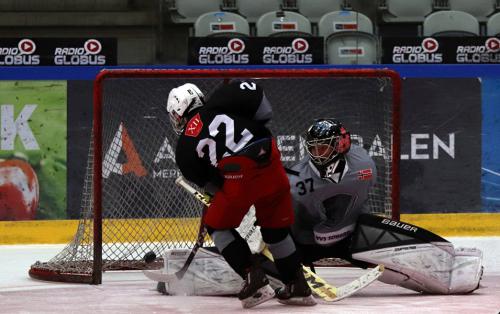 National Try-Out Denmark - SE Arena, Vojens