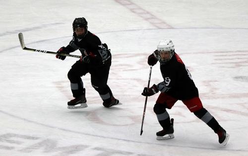 #10 Jan Hamřík and #88 Mikkel Grodon.
